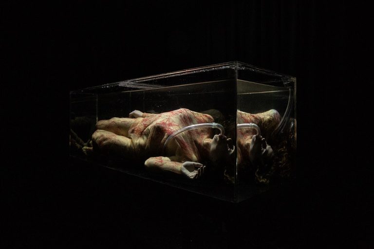 PTM_1249