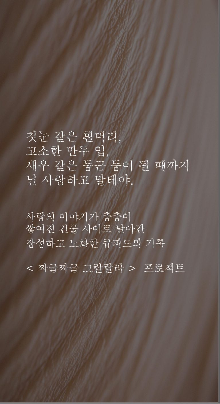 전시소개