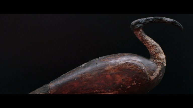 The Immortals_Museo Egizio_Mummy_Ibis_Museo Egizio Torino